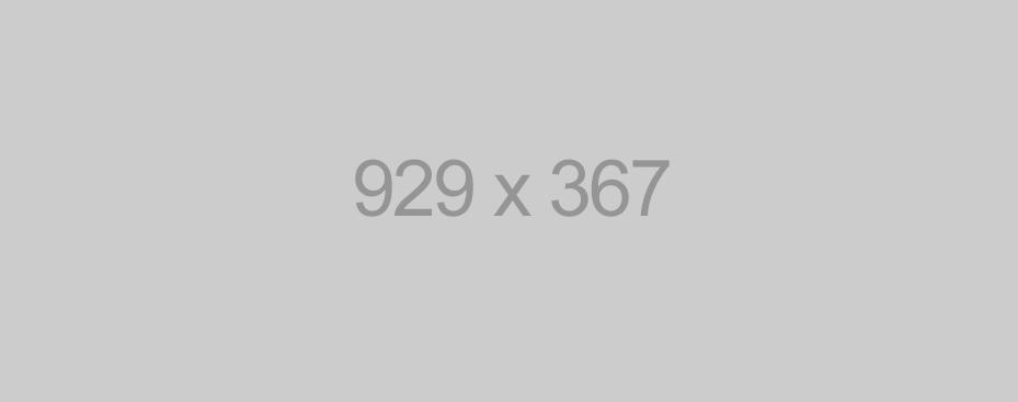 929x367