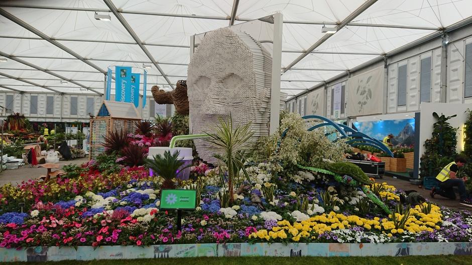 Gold medal willing Chelsea Flower Show display